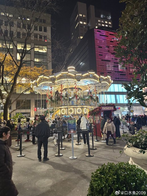 Illuminated Holiday Carousel